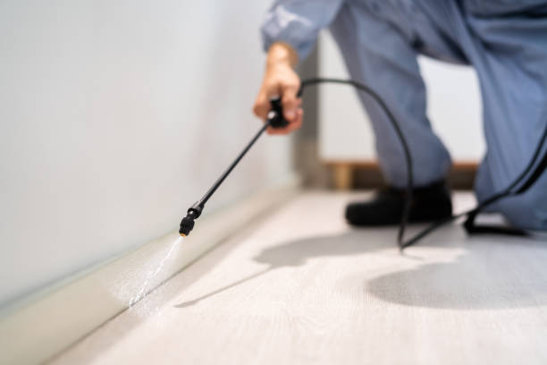 Bed Bug Pre-Treatment Preparation Assessment in Trumann