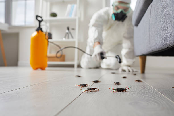 Post-Treatment Bed Bug Interceptor Monitoring in Trumann