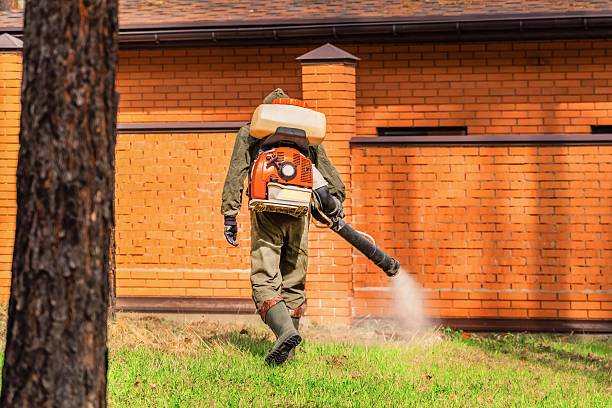 Bed Bug Clearance Verification and Documentation in Trumann